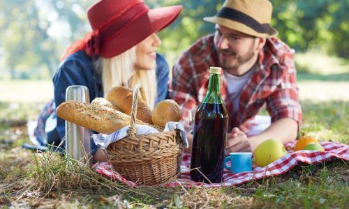 Picknick-Vergnügen
